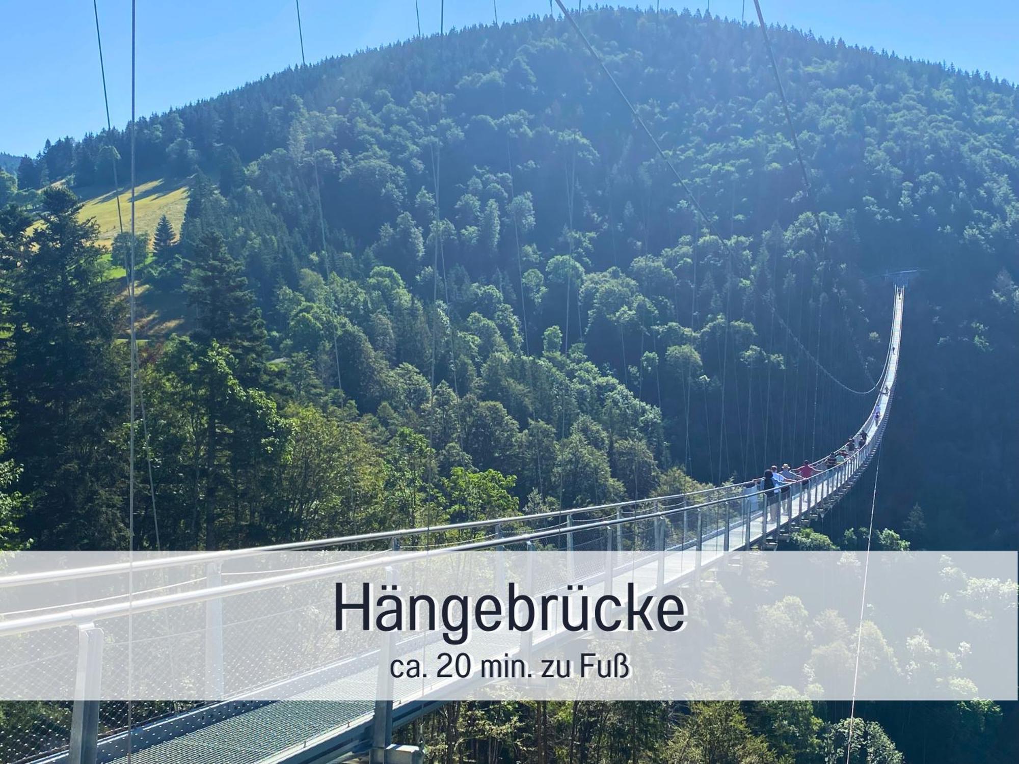 Herzgruen Direkt An Traumhaften Wanderwegen Balkon Mit Toller Aussicht Sauna Im Haus Tiefgarage E-Ladestation Todtnauberg Luaran gambar