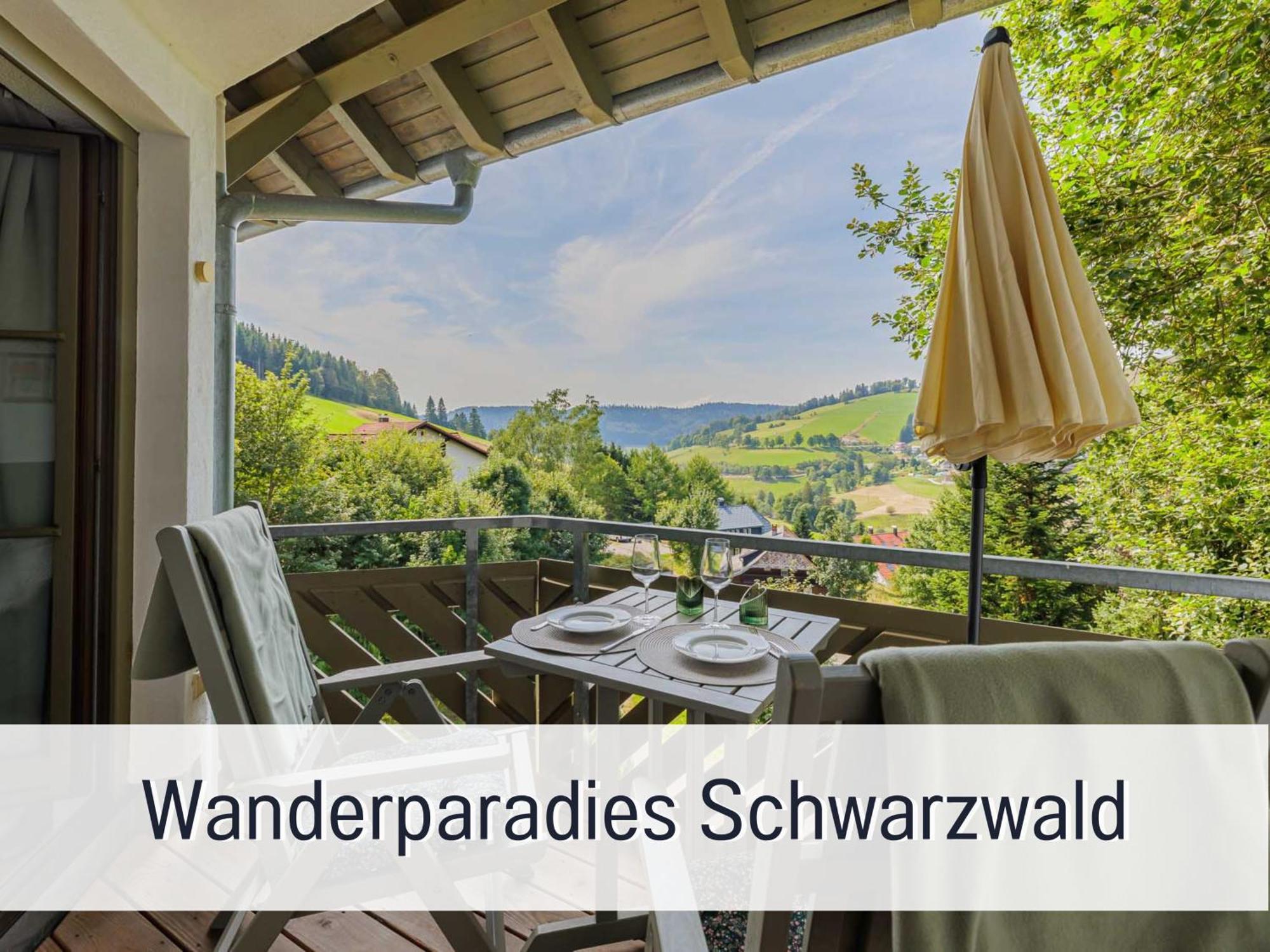 Herzgruen Direkt An Traumhaften Wanderwegen Balkon Mit Toller Aussicht Sauna Im Haus Tiefgarage E-Ladestation Todtnauberg Luaran gambar